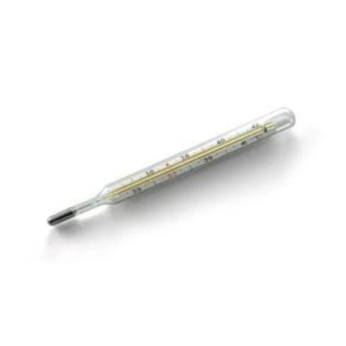 Thermometer Safety L
