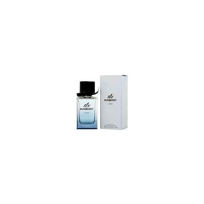 Burberry Mr Burberry Element Edt 100ml