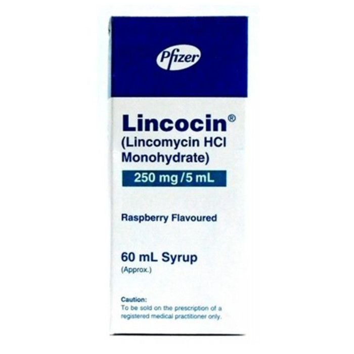 Lincocin 60ml